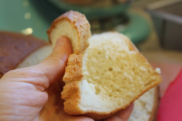 Soft Gluten Free Bread that Bends!