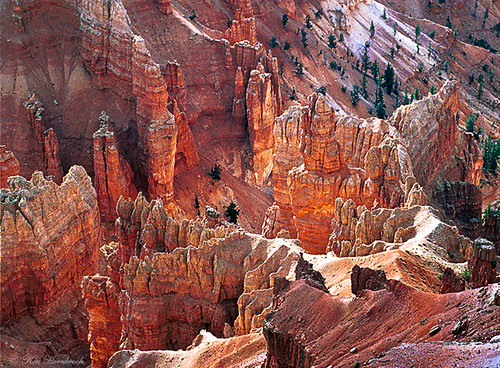 utah rocks canyon redrocks