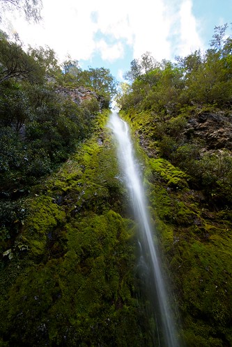 newzealand nature waterfall moss 10mm nohdr