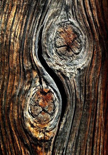 wood abstract texture design nevada knot mining ghosttown yinyang bw11 asianphilosophy belmontmill elytrip