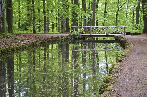 park wood bridge lake water see wasser brücke teich wald spiegelung bayreuth eremitage
