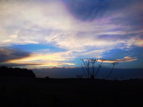 sunset cloud skyscape geese northyorkshire formations ryedale howardianhills