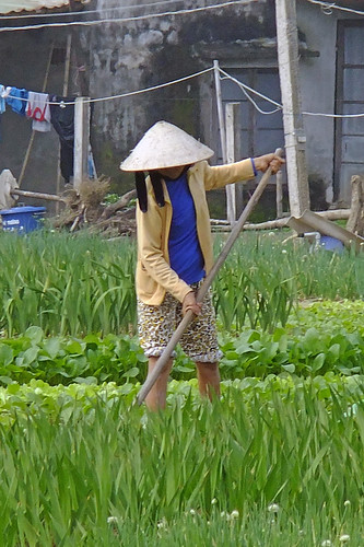 Working in a Herb Garden in Hoi An, Vietname