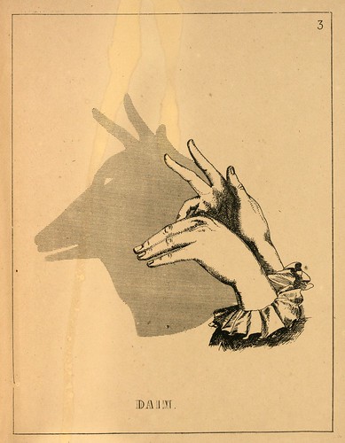 004- La gamuza-Ombromanie. Premièr série-1860- The Art Walters Museum