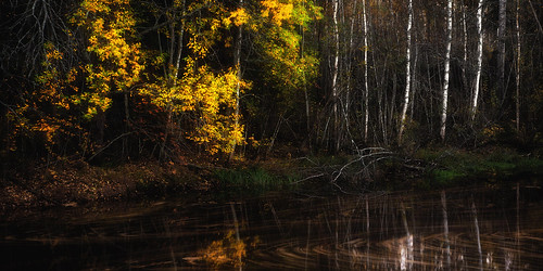 autumn fall leaves leaf yellow trees forest river orivesi suomi finland syksy ruska september longexposure pitkävalotus landscape scenery