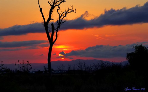 sunset australia queensland serene northqueensland