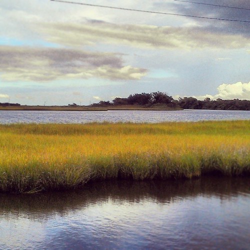 valencia square louisiana bayou squareformat wetlands marsh waterscape iphoneography instagramapp ilobsterit