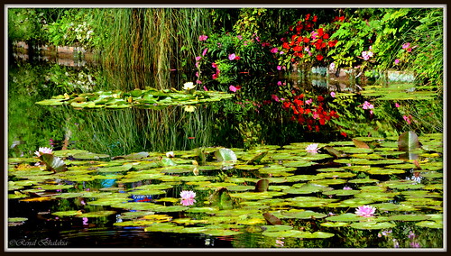 france reflection garden pond europe waterlily giverny claudemonet monetsgarden claudemonetshouse nikond600 renalbhalakia nikon28300mmvr