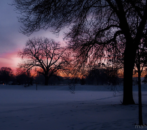 park morning trees winter snow minnesota sunrise landscape dawn december winona daybreak