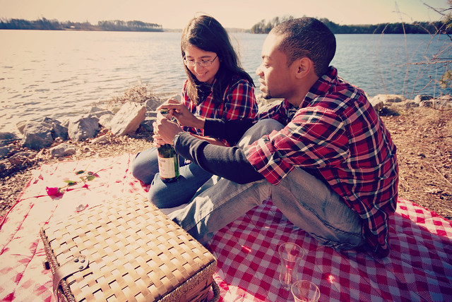 Picnicking on Turtle Island at Smith Mountain Lake State Park, Virginia looks like fun