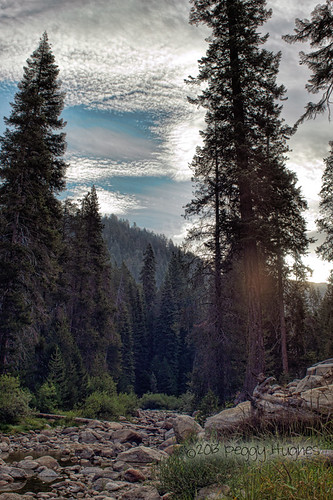 morning rocks creek trees sky clouds vertical scenic landscape california forest mountains sierranevada westernsierranevada sequoianationalpark sequoianationalforest pines nature camping ©peggyhughes ©allrightsreserved peggy