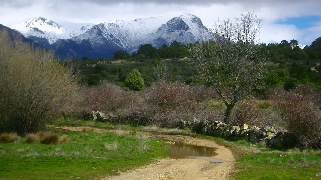 7. El entorno de La Granja. Sierra de Guadarrama. Autor, Alejandro Valero