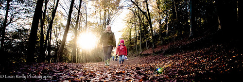 autumn rambling country england hampshire magichour longlight family children childrenbeingchildren ageofinnocence autumnlight afternoonlight shadows sun sparkle sunlightsparkle fall colurs fallcolors colours siblings play queenelizabethiicountrypark southdowns countryside canon eos5d 2470mm llens southdownsnationalpark petersfield playtime kids copyrightleonreillyphotography brothersister backlit together people paths puddles leonreilly pano oblong panorama crop leonreillyphotography canoneos