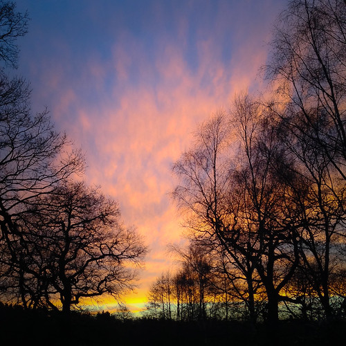 sunset england silhouette unitedkingdom newyearseve nationaltrust iphone worksop clumberpark blindphotographers