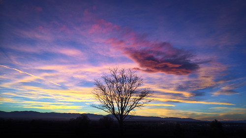 sunset sky cloud tree night us colorado unitedstates cloudy pueblo iphone csup coloradostateuniversitypueblo iphonography iphone5s