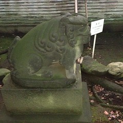 狛犬探訪 赤坂氷川神社に足を伸ばした これが一番古い奉献