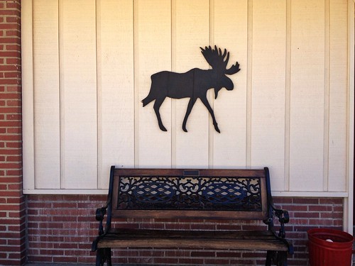 urban broken sign bench relax landscape leg moose icon silhoette lodhe americsna