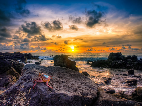 ocean seascape beach clouds sunrise landscape hawaii surf oahu sandy crab olympus omd em5 microfourthirds 1250mmf3563mzuiko