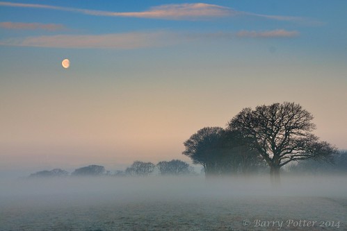 mist landscape nikon yorkshire earlymorning eastyorkshire barrypotter yabbadabbadoo eastridingofyorkshire yorkshirewolds nikond90 barrypotternet nikkor28mm300mm3556ed edenmedia barrypotteredenmedia