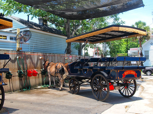Charleston carriage tour