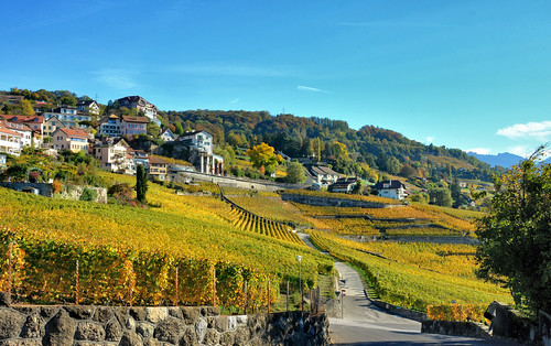 automne day clear vignes paysages vins lavaux
