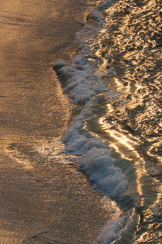 Golden waves