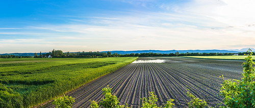 panorama abend österreich felder photowalk burgenland fotoart tageszeit wulkaprodersdorf siegendorf
