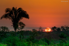 Pôr-do-sol nas proximidades de Rio Branco, Acre, Brasil (Sunset near Rio Branco, Acre, Brazil)