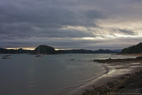 new newzealand sunrise boats island islands north zealand wharf nz northisland yachts northland paihia motuarahi