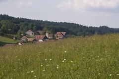 Within the field - Photo of Bonnevaux