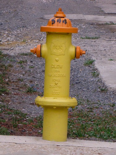 county city orange water yellow hydrant fire town md ben web maryland august structure queen infrastructure firefighting fighting infra cumberland allegheny allegany hydrants alleghany 2011 alleghenies infrastructural alleghanies schumin schuminweb alleganies