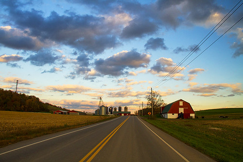 life road sunset red sky nature clouds rural work canon colorful cows dynamic farm country farming barns foliage upstatenewyork change dairy simple wideopenspace dairyfarm elbridge 2013 roadintothedistance horigansdairyfarm