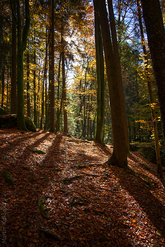 autumn landscape herbst landschaft jesien höllbachtal regensburgerfotoblosn dt18270mmf3563 sonyslta77v