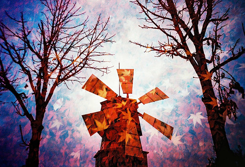 park autumn sunset lake tree windmill leaves maple lomo lca xpro lomography crossprocessed xprocess doubleexposure crossprocess double lomolca multipleexposure velvia crossprocessing doubles multiexposure