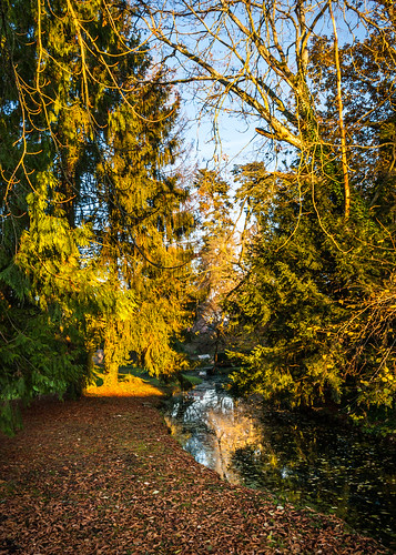 world autumn light sunset sun france reflection nature water automne river photography soleil flickr natural pentax creative commons normandie km guerche evreux aubois tridon