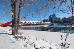 The peace bridge Calgary new years day 2014