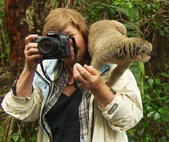 Grand-Mère Gloria avec un Lémurien qui prends des images de Lémuriens...