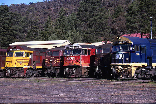 electric train diesel transport engine rail railway australia transportation newsouthwales locomotive sra alco lithgow nswgr 80class 442class freightcorp 46class