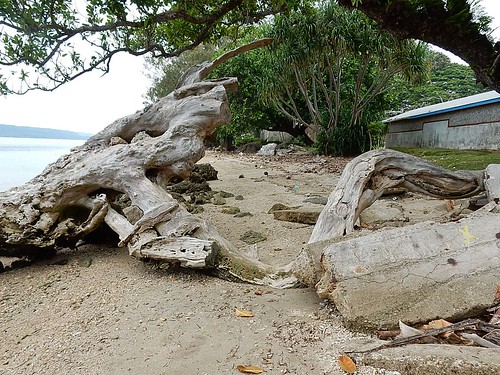 espiritusanto santo luganville gs driftwood beach concrete