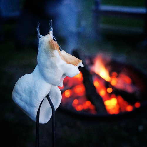camping minnesota campfire marshmallow lakewinnibigoshish
