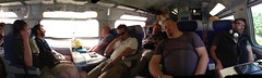 GCERC - fast asleep - Photo of Sussey