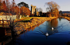 St. Cyr's and The Stroudwater Canal
