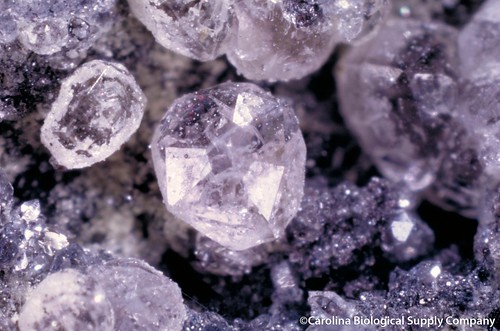 rock crystal mining mineral geology gem fluorite scienceeducation sericite carolinabiologicalsupplycompany
