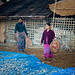 Myanmar, Ngapali fishing village, DSC_5753