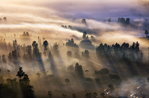 morning shadow bali tree fog sunrise indonesia lens landscape nikon asia village sigma os telephoto tele f28 rol rayoflight 70200mm kintamani desa pinggan d7000