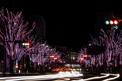 street color tree japan night canon landscape 日本 fukushima iwaki 夜 福島 福島県 いわき 2013 eos6d いわき市 200f28lⅱ