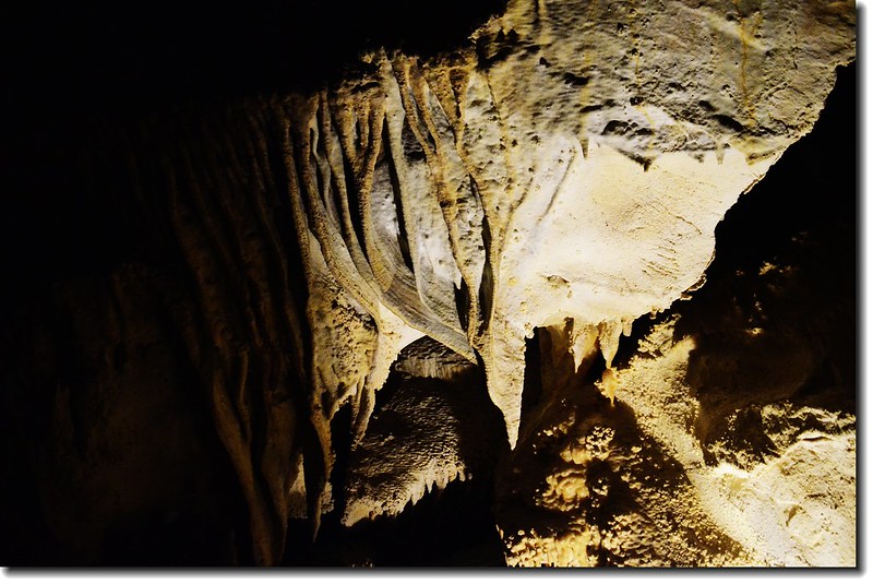 Stalagmites in Lehman Caves 5