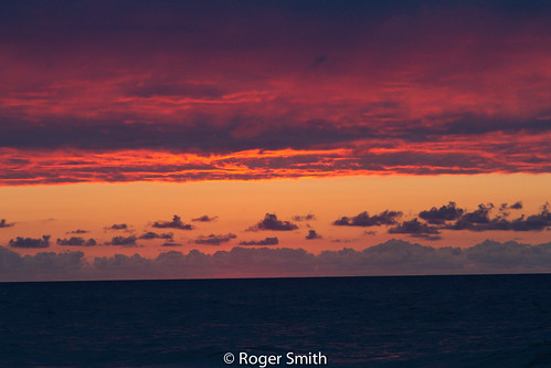 beach birds sunrise canon 7d morningwalk orangebeach 24105 pheonix3