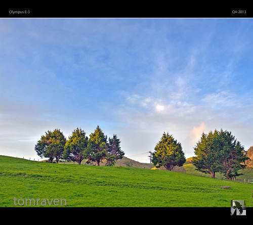 trees newzealand sky grass clouds farm olympus hills e3 hdr pautahanui tomraven aravenimage q42013
