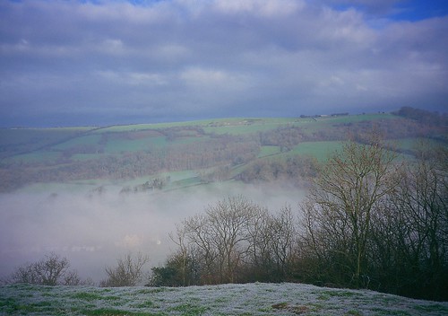 christmas morning trees winter england fog walks frost december day britain somerset hills fields mendip westcountry mendips mendiphills sunandcloud